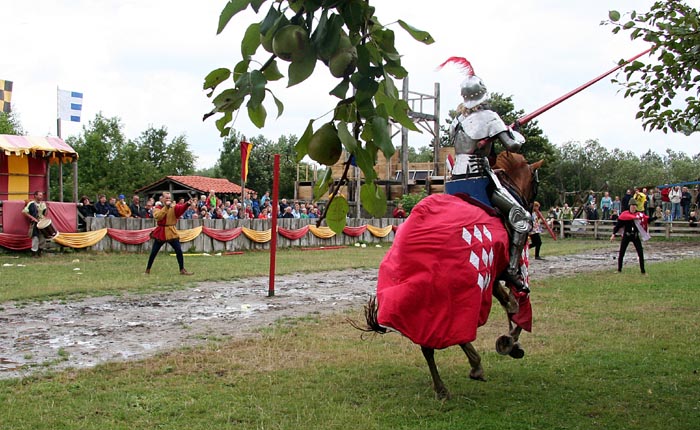 ridderspel-20-ringsteken