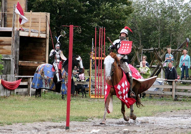 ridderspel-22-ringsteken