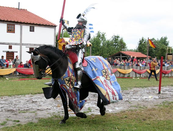 ridderspel-28-ringsteken